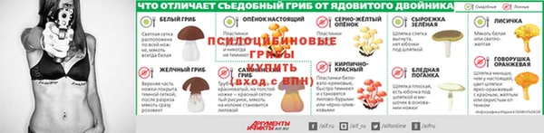 ГАЛЛЮЦИНОГЕННЫЕ ГРИБЫ Бородино